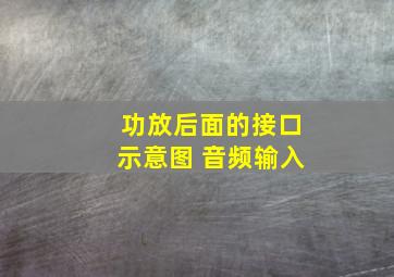 功放后面的接口示意图 音频输入